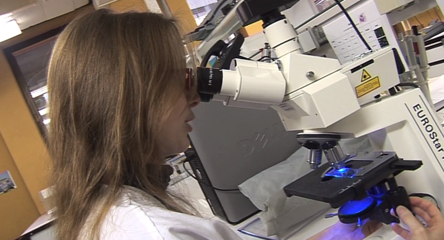 comment devenir biologiste en belgique
