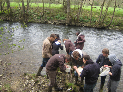 Stage d’écologie en agronomie