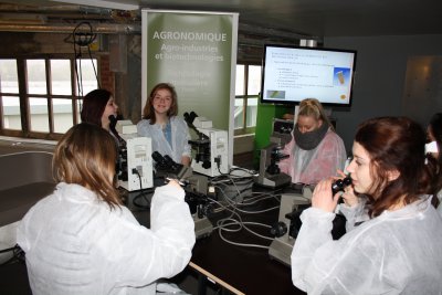 Activités scientifiques au Pass