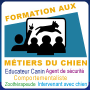 Formation aux métiers du chien