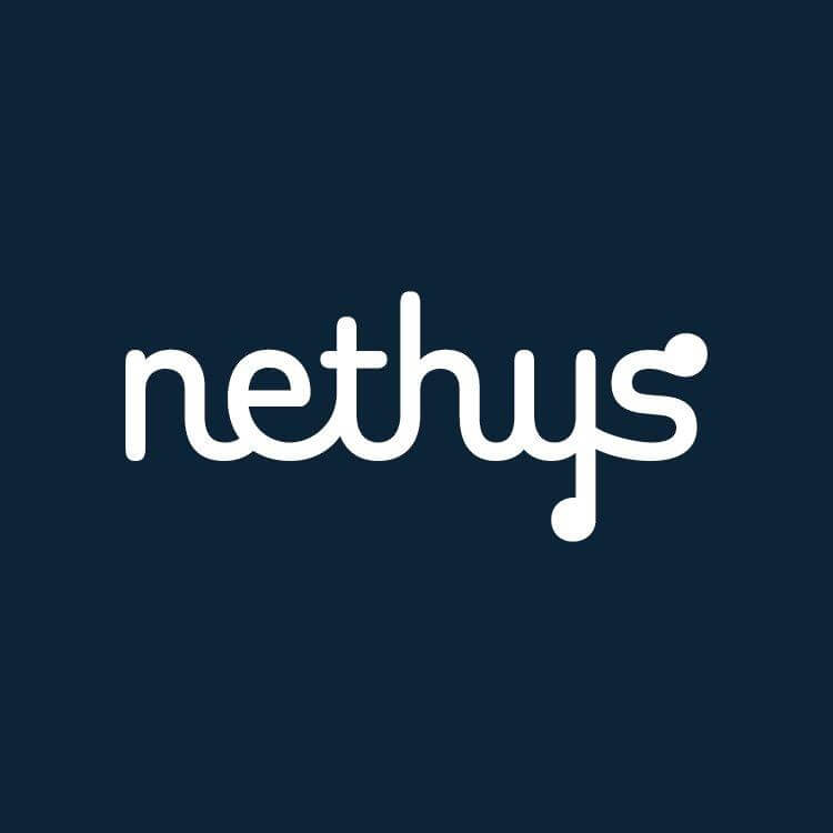 Nethys group