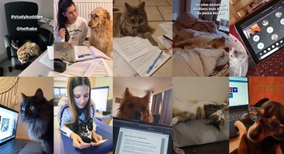 #HELHaStudyBuddy