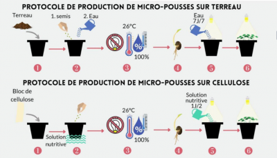 TFE clôturés et posters présentés pour nos étudiants en Agronomie