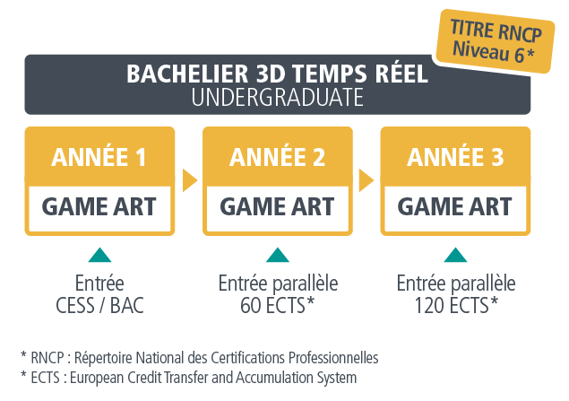 cursus bachelier 3D temps réel