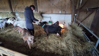 De nouvelles méthodes pour enseigner l’agroécologie à la HELHa.