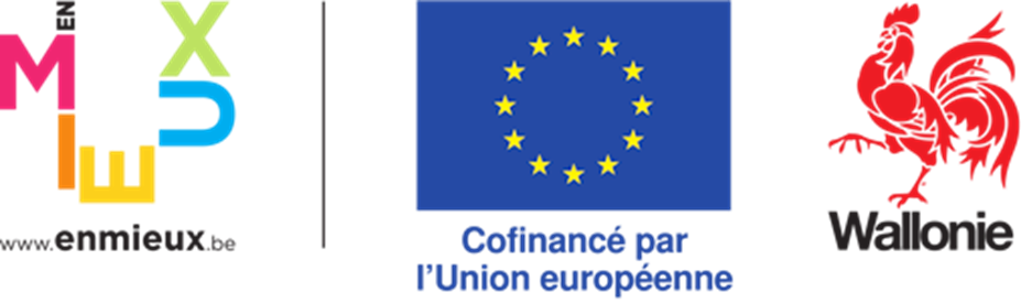 Logos En Mieux, Union Européenne et Wallonie