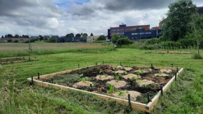 7000 € alloués au développement durable grâce au potager de Mons