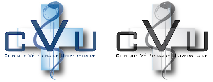 ULiège